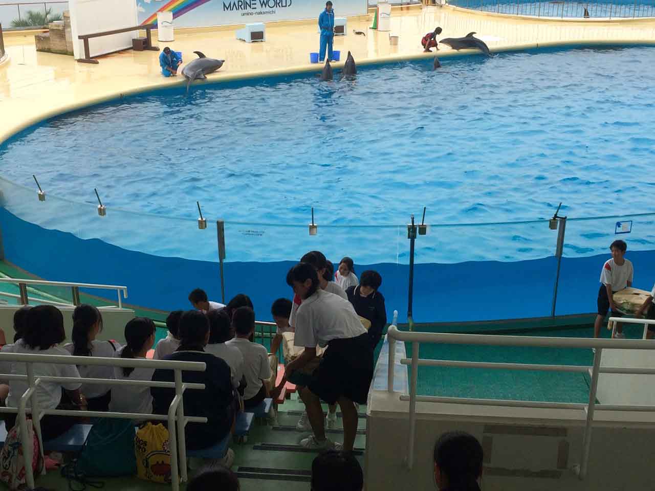 那珂川北中学校 平成28年度 自然教室