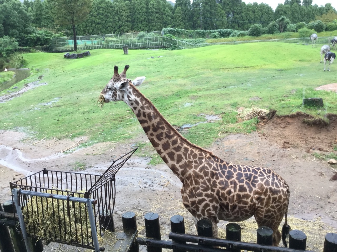 那珂川北中学校 修学旅行
